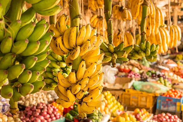 Supporting Starehe's market traders